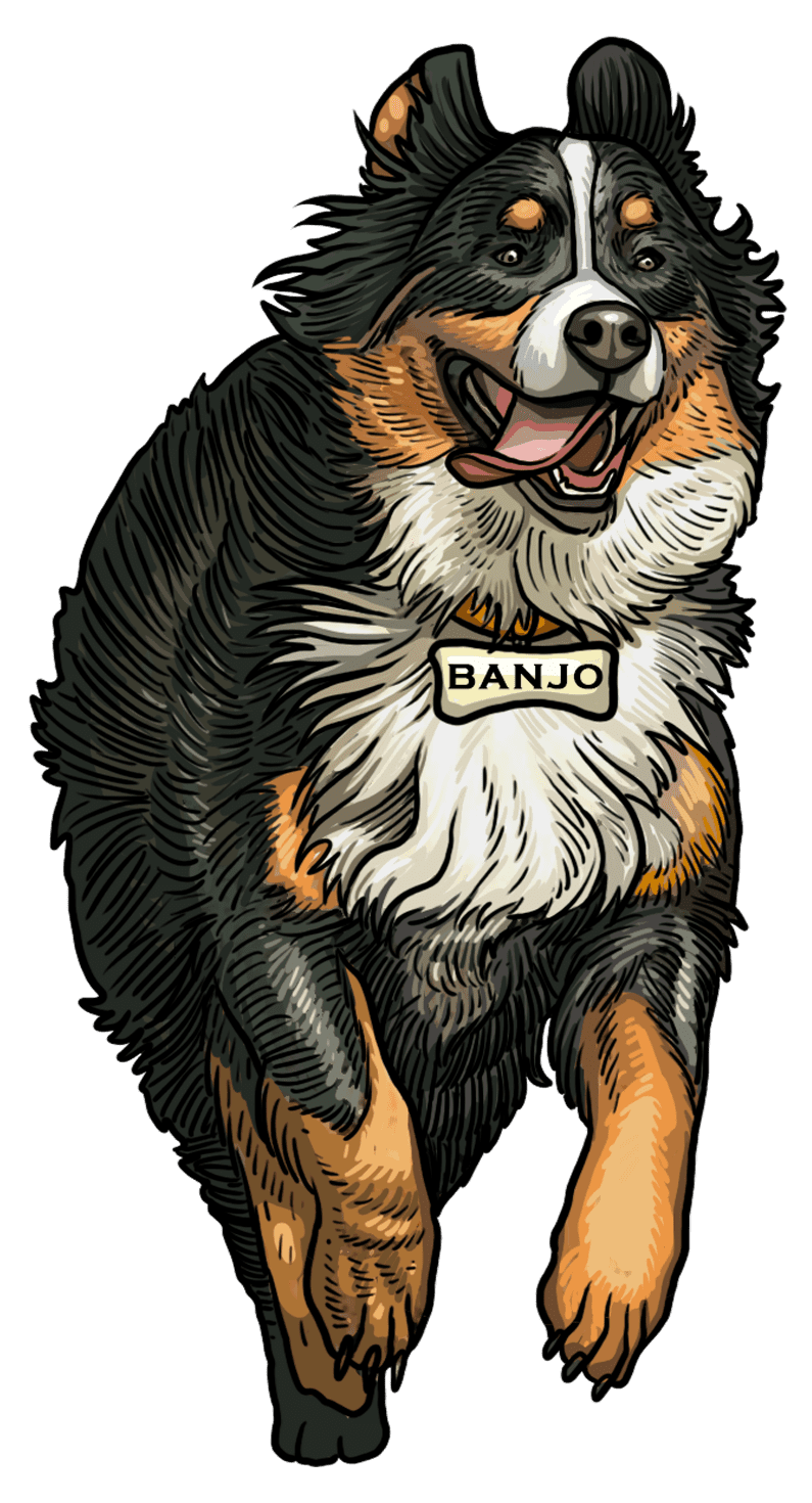 banjo