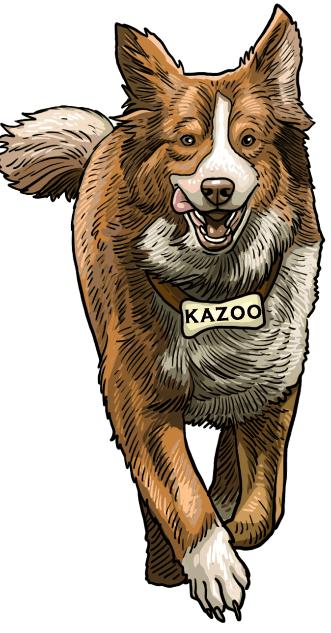 kazoo